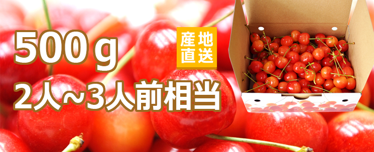 山梨県さくらんぼ写真