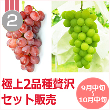 山梨県人気葡萄2位