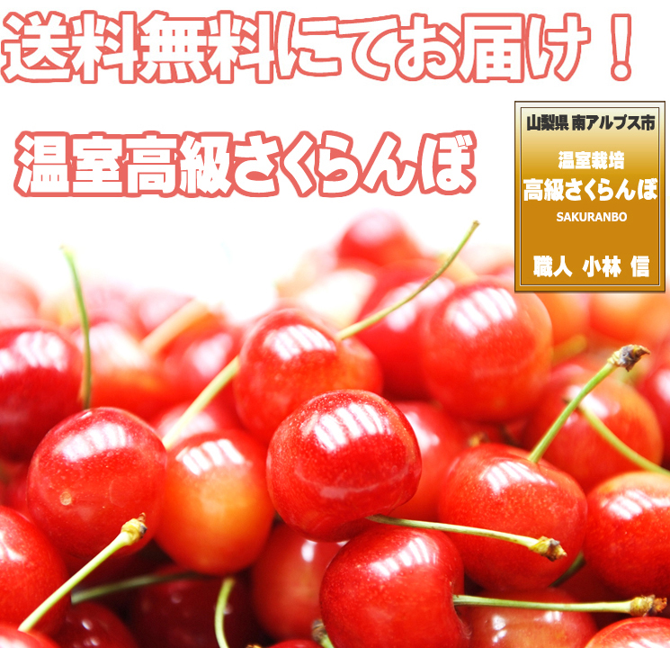山梨県さくらんぼ販売価格紹介