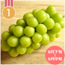 山梨県人気シャインマスカット葡萄1位