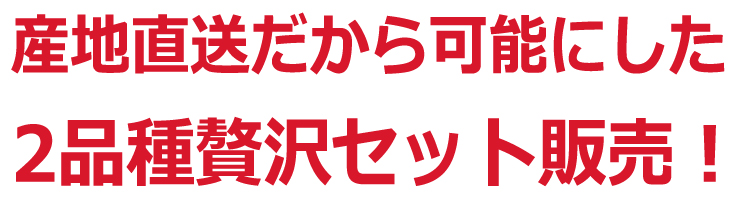 ぶどう2品種詰め合わせ贅沢セット収穫