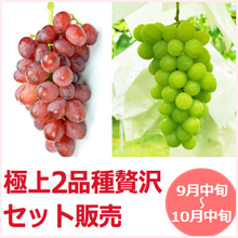 2品種詰め合わせ