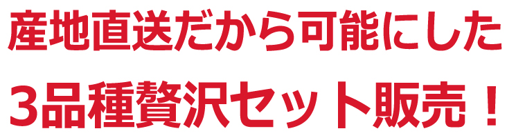 ぶどう3品種詰め合わせ贅沢セット収穫