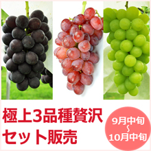 3品種詰め合わせ