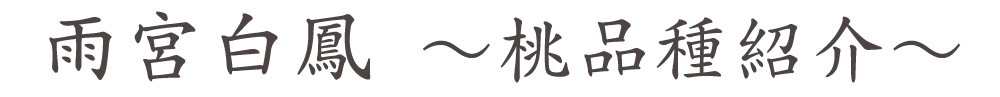 山梨県南アルプス市より産地直送通信販売