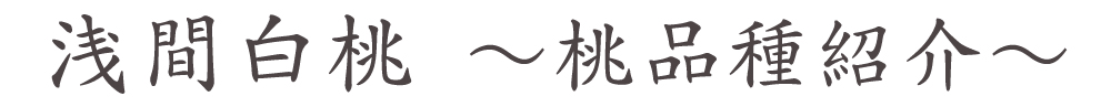 山梨県南アルプス市より産地直送通信販売