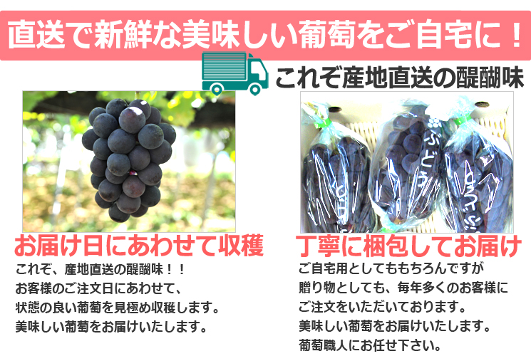 山梨県葡萄(ぶどう)通販産地直送の醍醐味