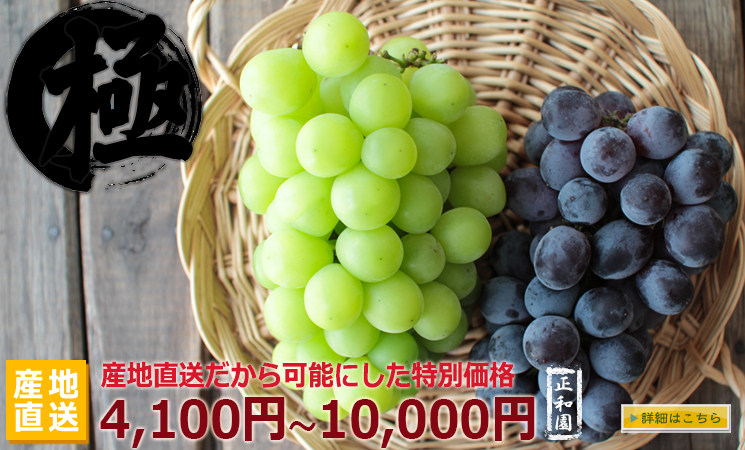 山梨県のぶどう通販へ