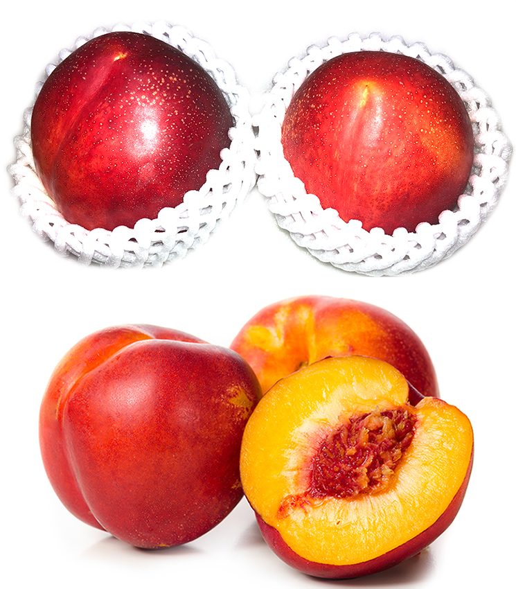 山梨県黄金桃写真