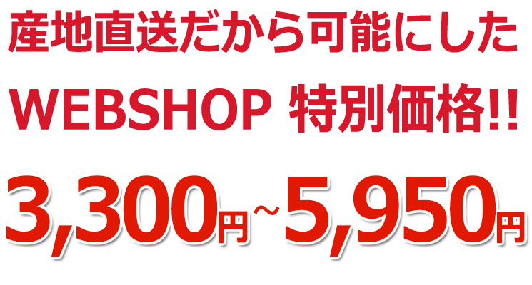 山梨県巨峰販売価格紹介