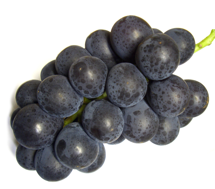 山梨県巨峰写真