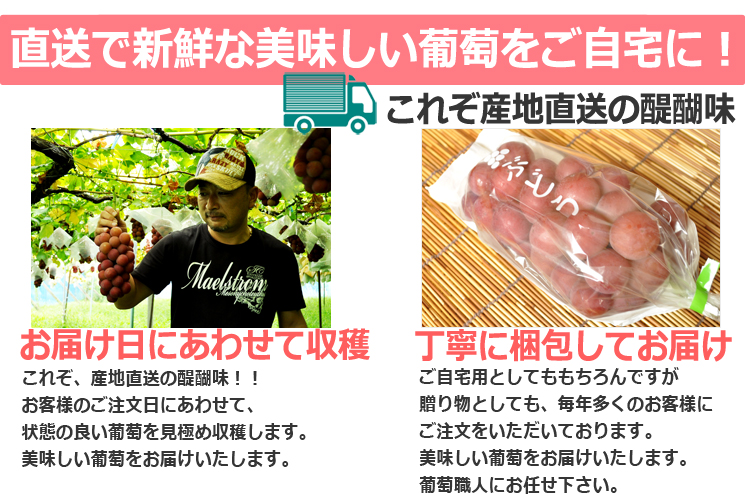 山梨県葡萄(ぶどう)通販産地直送の醍醐味