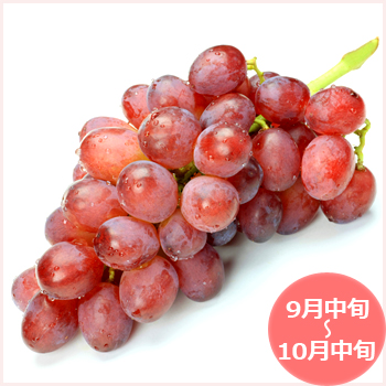 山梨県 甲斐路 販売