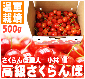 母の日ギフトさくらんぼ