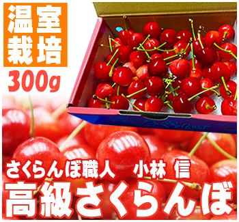 母の日ギフトさくらんぼ