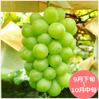 山梨県 翠峰(すいほう) 販売