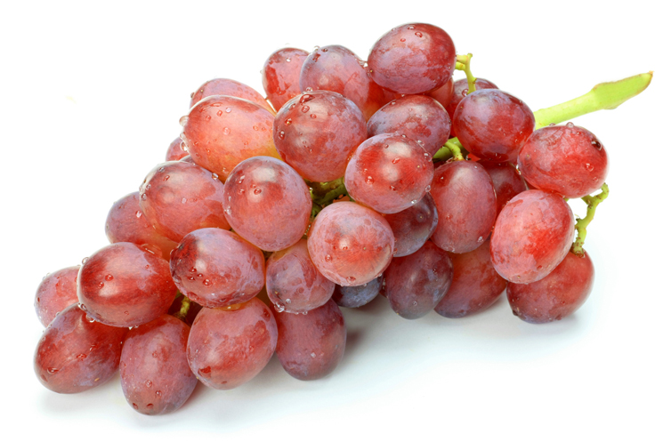 山梨県甲斐路写真