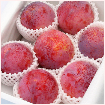 さくらんぼ通販