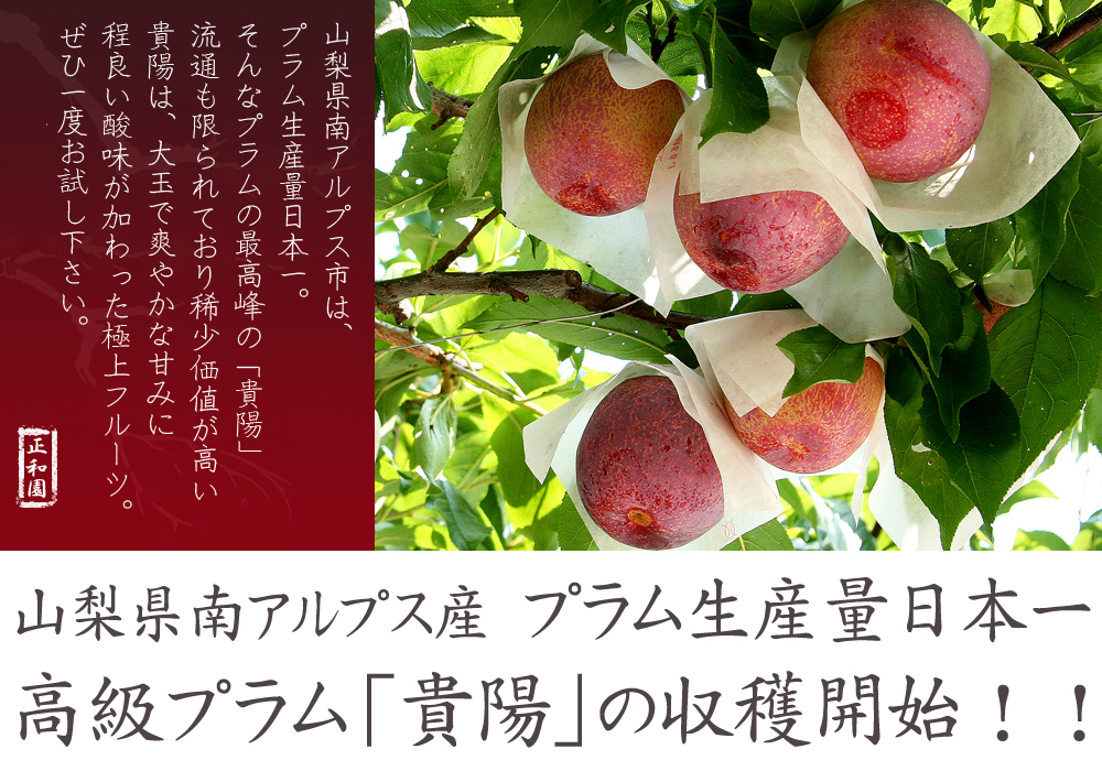 山梨県南アルプス市より産地直送通信販売
