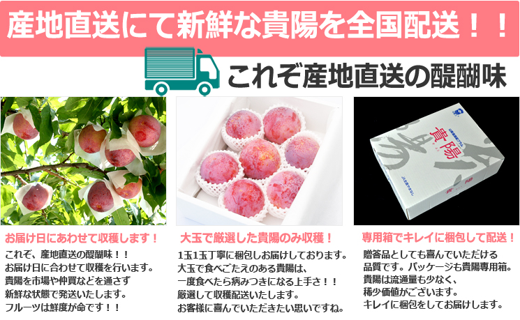 貴陽山梨県産地直送の醍醐味