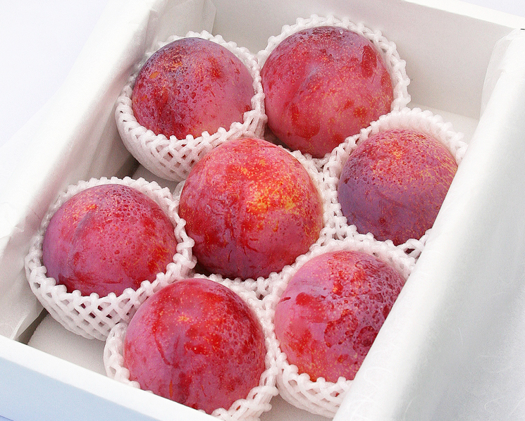 山梨県貴陽通販写真