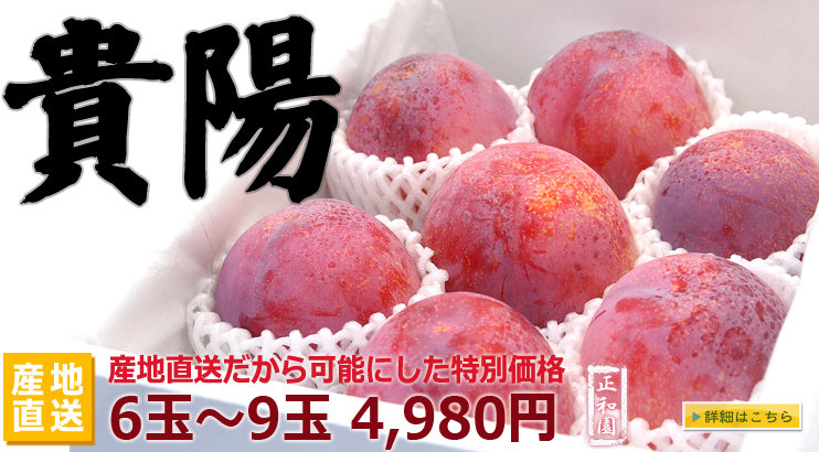 山梨県貴陽産地直送 通販へ