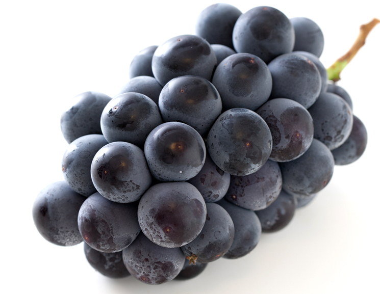 山梨県巨峰写真