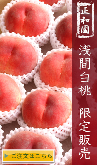 山梨県浅間白桃販売へ