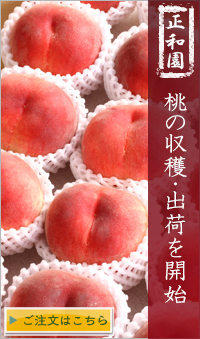 山梨県の甘い桃通販へ