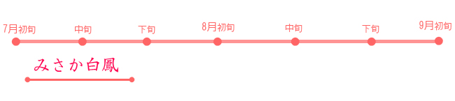 山梨県桃品種紹介