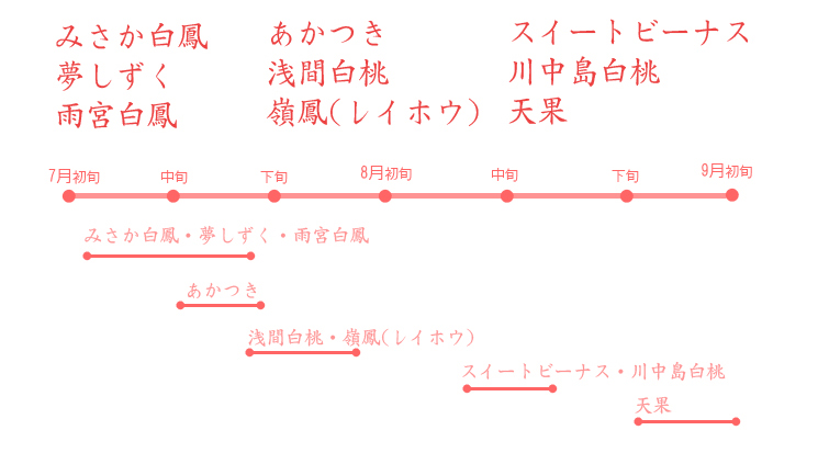 山梨県桃品種紹介