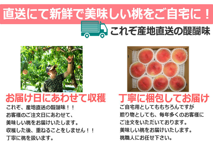 山梨県桃通販産地直送の醍醐味
