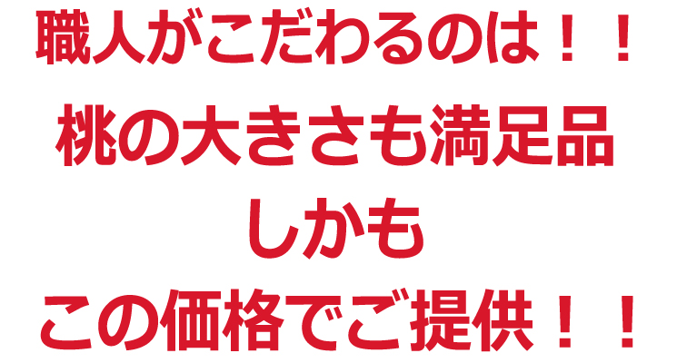 山梨県桃写真