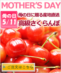 母の日のさくらんぼ通販へ