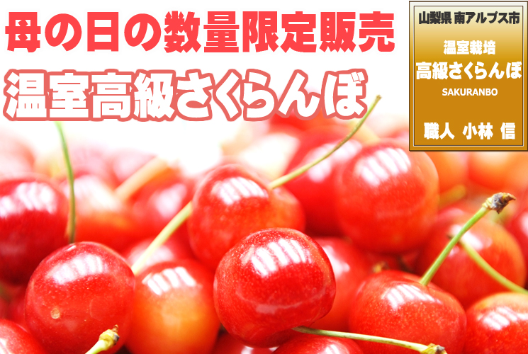 山梨県さくらんぼ販売価格紹介