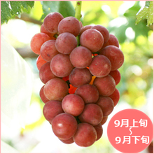 クイーンニーナ