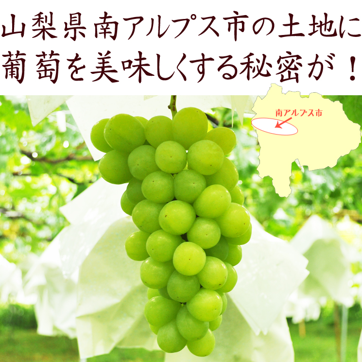 ロザリオビアンコを美味しくする山梨県の秘密