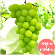 ロザリオビアンコ