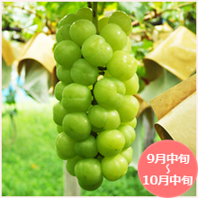 瀬戸ジャイアンツ