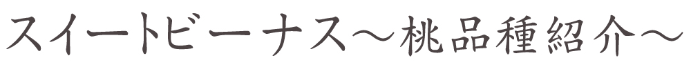 山梨県南アルプス市より産地直送通信販売