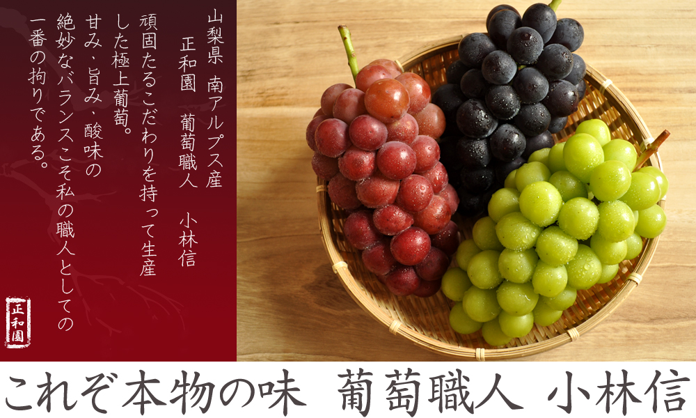 山梨県ぶどう販売なら葡萄職人小林信