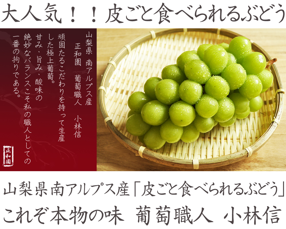 山梨県ぶどう販売なら葡萄職人小林信
