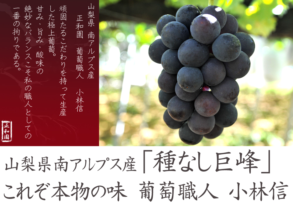 山梨県南アルプス市より産地直送通信販売