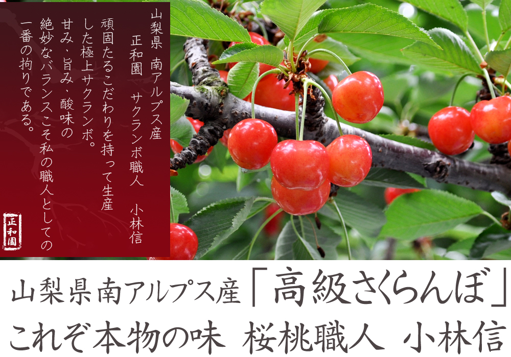 山梨県南アルプス市より産地直送通信販売