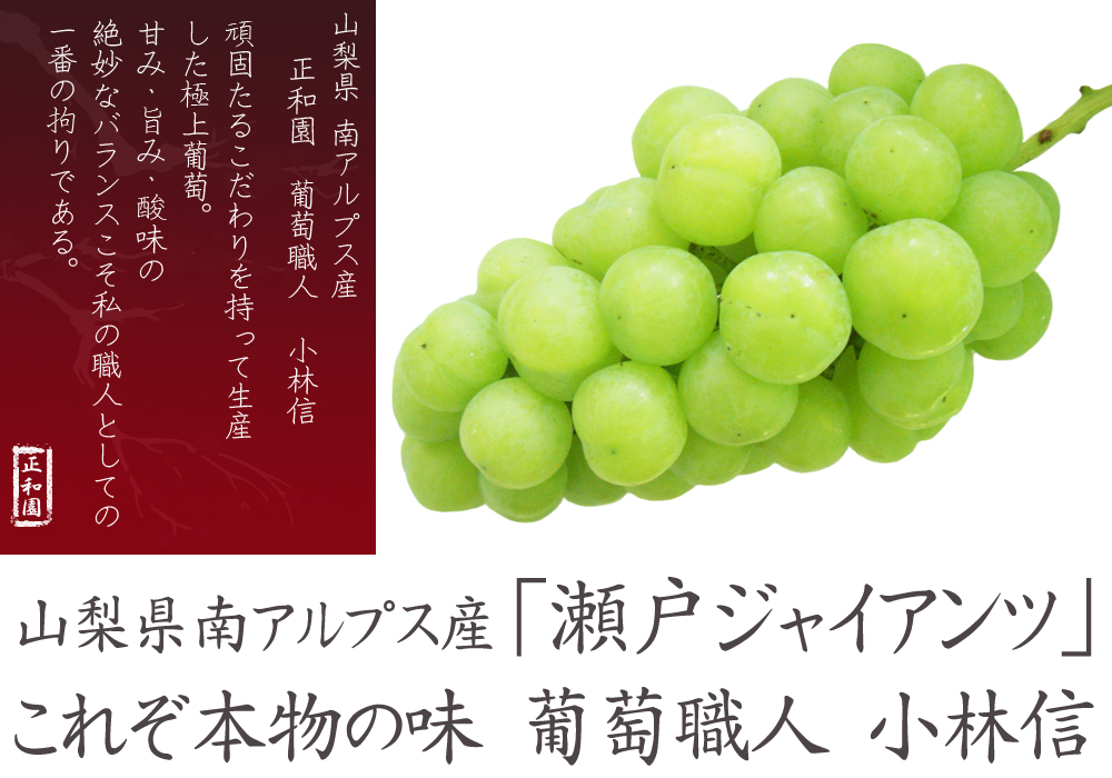 山梨県南アルプス市より産地直送通信販売