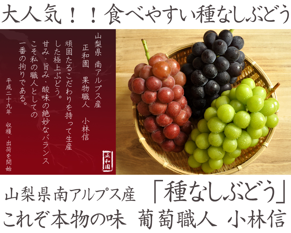 山梨県ぶどう販売なら葡萄職人小林信